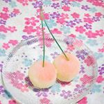 10611275_409473505912393_892102815_a