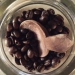 11910236_912971682083445_998348485_a