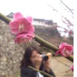 11189472_1382254962103371_1857557416_a