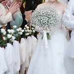 11374174_423569364499474_618955970_a