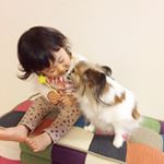 11429532_1451419548498008_1460001548_a