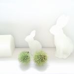 10632377_1017277208323464_480642616_a