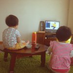 11280049_737601356362318_711592773_a