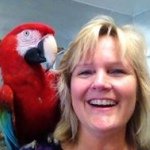 10362176_495121723953529_1349307838_a