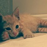 11821084_1670709689841596_1313726743_a