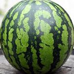 11356011_429990787184782_2049142080_a