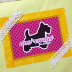 11199462_1418245188494495_323675593_a