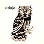 11348354_1016402995045094_1657294901_a