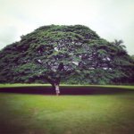 10919602_480896022051671_387671119_a