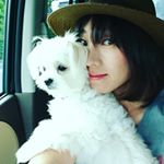 10860059_843369279113980_862742357_a