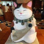 11334455_464175420412118_558136527_a