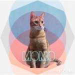 11116730_862124967166638_1126550157_a