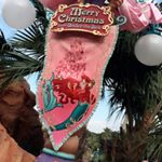 11385521_441647702702961_1287086794_a