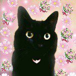 10808612_363314530497315_1775617798_a