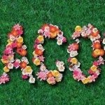 11850071_1647499042129338_1617253282_a