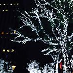 12107408_1727743284122025_650055908_a