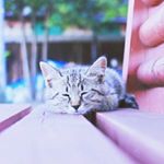 11428802_850376204999709_1436425320_a