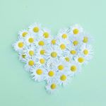 12120274_996413017082348_1550111850_a