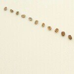 10518016_1434788443461962_1969059061_a