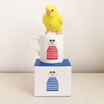 12093814_960707287323080_279893295_a