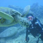 11137718_428728770634840_644097571_a