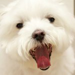 10012532_802937313135668_245965168_a