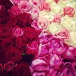 10693311_568866423214347_2088765267_a