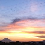 11326680_408807275987569_116640467_a