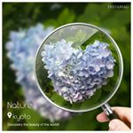 11821290_1603390139922603_130411708_a