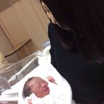 11931079_765354953611159_2085393874_a