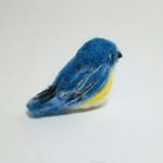 11931245_176893369315129_343597100_a