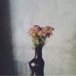 11352177_471954009629118_330527103_a