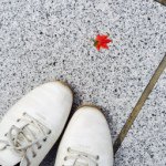 10729269_827754773921813_148005363_a