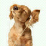 11849324_1464097843893874_1641484006_a