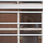 11348305_141309819535171_625971433_a