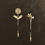 11950469_810565569041332_1038359668_a