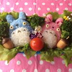 11820636_1496876667296600_270404370_a