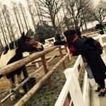 11373988_1109634182398533_1160320274_a