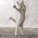 11008017_1619384754957269_1756726971_a