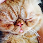 12107624_1480404178931194_1723736997_a