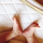 11357877_1596962920593232_1389045050_a