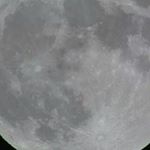 11257141_1670475419831576_621481634_a