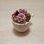 10448993_277108379128172_1793319509_a