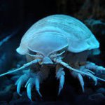 10354450_1549213831977082_786152526_a