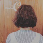 10986260_1545412099075791_980416581_a