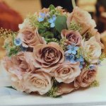 11382954_1654161401483636_1029028989_a