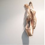 11821867_636266989842345_1945223371_a