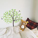 11917911_175585739459620_1670649254_a