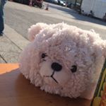 12080546_1642869639317430_298224909_a