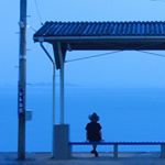 11931052_1644220915867239_602357004_a